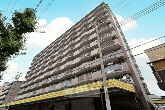 2025年(令和7年)撮影