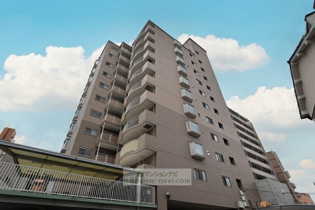 2025年(令和7年)撮影