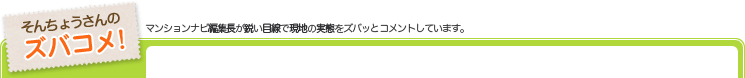 そんちょうんのズバコメ！マンションナビ編集長が鋭い目線で現地の実態をズバッとコメントしています。
